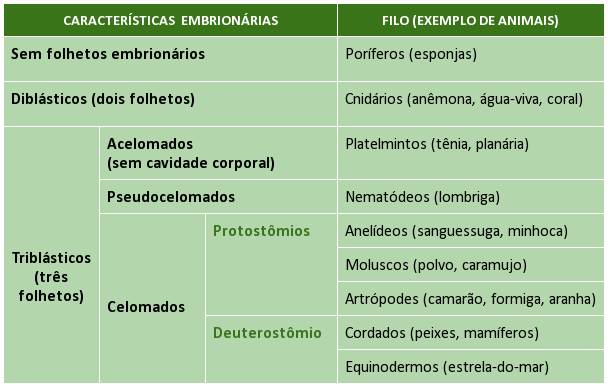 Características Embrionárias Animais