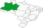 Estado Amazonas