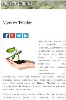 Tipos Plantas