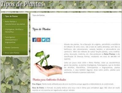 Tipos Plantas